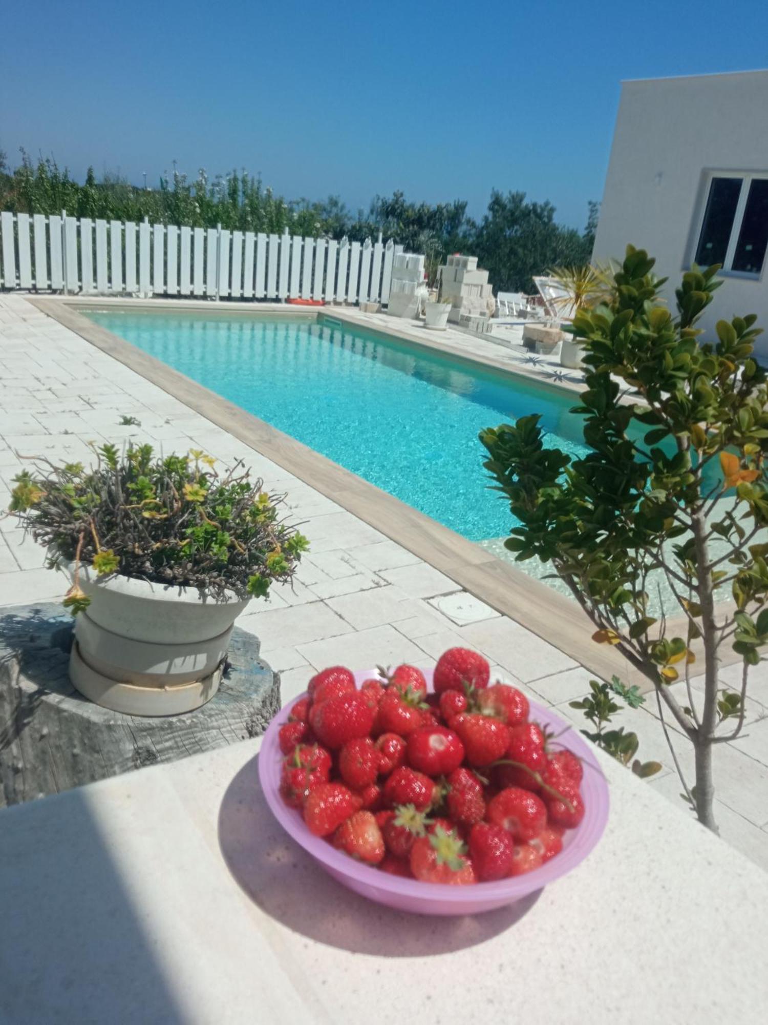 Vale & Frans Villa Monopoli Kültér fotó